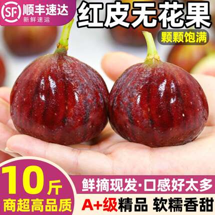 【顺丰冷鲜】紫皮无花果10斤新鲜水果香甜糯当季青红皮特级果