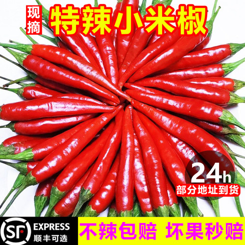 【不辣仅退款】特辣小米椒10斤