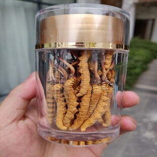正宗野生冬虫夏草正品新鲜虫草头期干货高海拔冬虫草王非西藏那曲