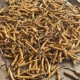 正宗冬虫夏草正品 野生虫草干货高品质新鲜养生煲汤泡酒非西藏那曲