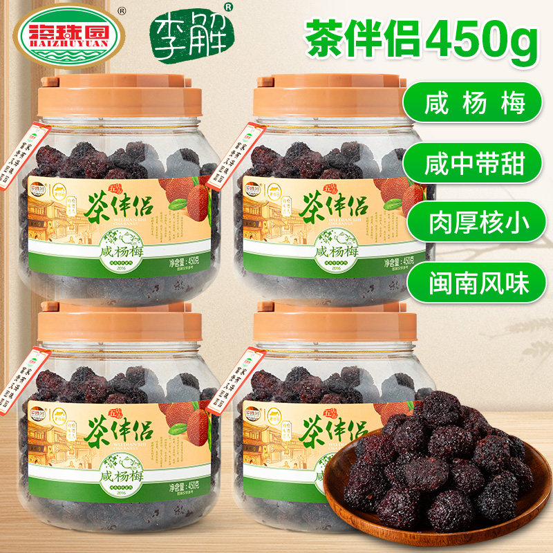 李解茶伴侣咸杨梅450g罐装蜜饯新鲜酸甜杨梅干孕妇梅子零食小吃