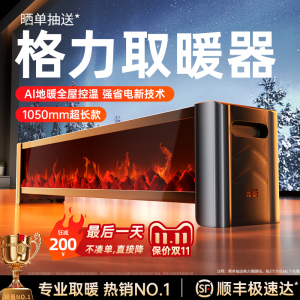 踢脚线取暖器家用节能省电2024新款烤火炉暖风机卧室冬天取暖神器