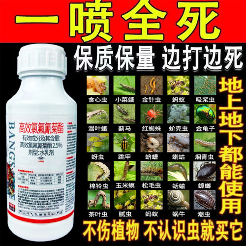蔬菜专用杀虫剂蔬菜果树植物灭菌灭虫蚜虫菜青虫蓟马跳甲红蜘蛛