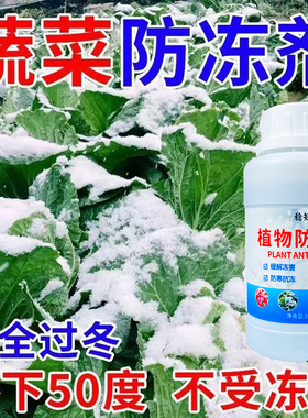 植物防冻剂抗寒抗冻液果树蔬菜花卉苗木园林大棚通用型植物防冻液