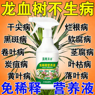 龙血树专用营养液龙须树干尖叶子发黄枯叶烂根茎腐黑斑病营养肥