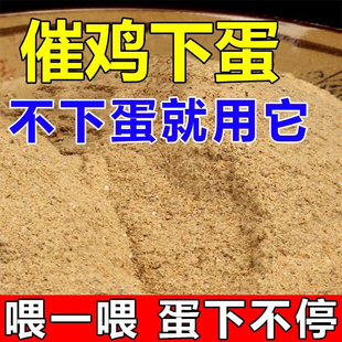 鸡不下蛋用它四季都下蛋鸡鸭鹅催蛋增蛋产蛋翻倍下蛋多禽用蛋多宝