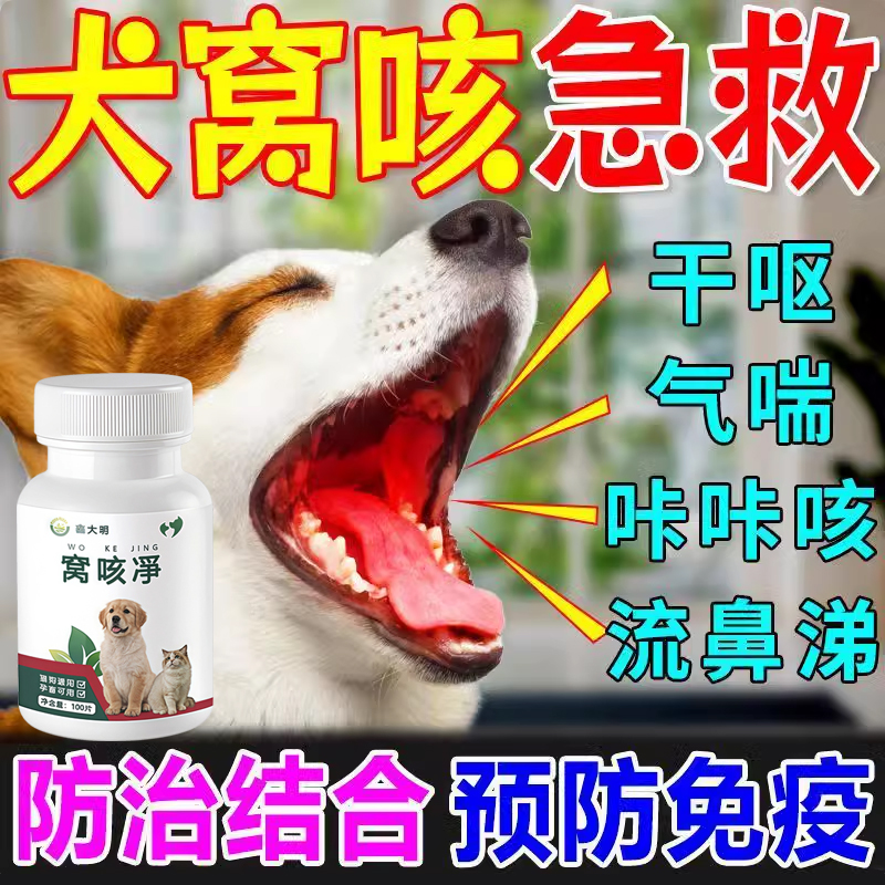 窝咳净犬窝咳特效专用药当天止咳