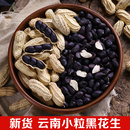 云南黑花生新货带壳富硒黑花生晒干普洱特产2025年黑皮花生米