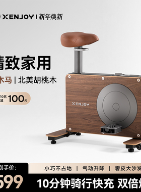 绝影小木马动感单车家用款小型室内静音运动健身房器材减肥专用