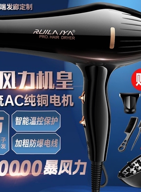 德国发廊专用电吹风机理发店大功