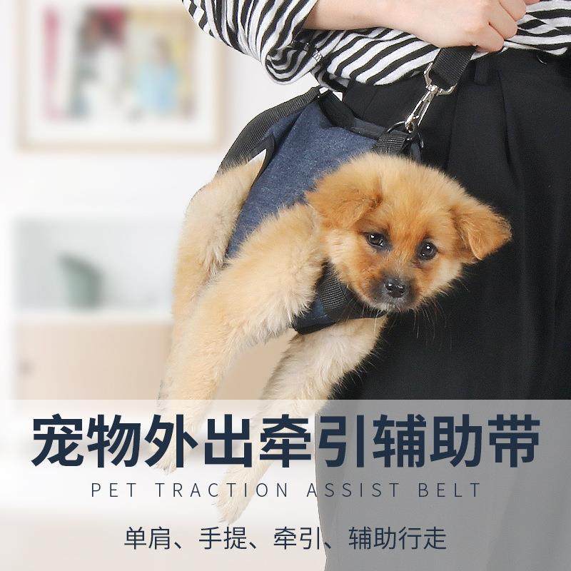 宠物牵引辅助带外出牵引绳网布透气多用途狗狗牵引,宠物/宠物食品及用品,狗牵引绳,淘宝优惠券,粉丝福利购,淘宝优惠卷