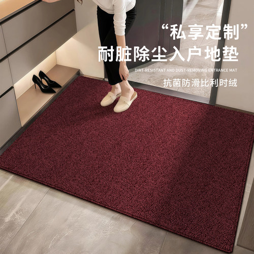 诗缇入户门玄关耐脏好打理地垫