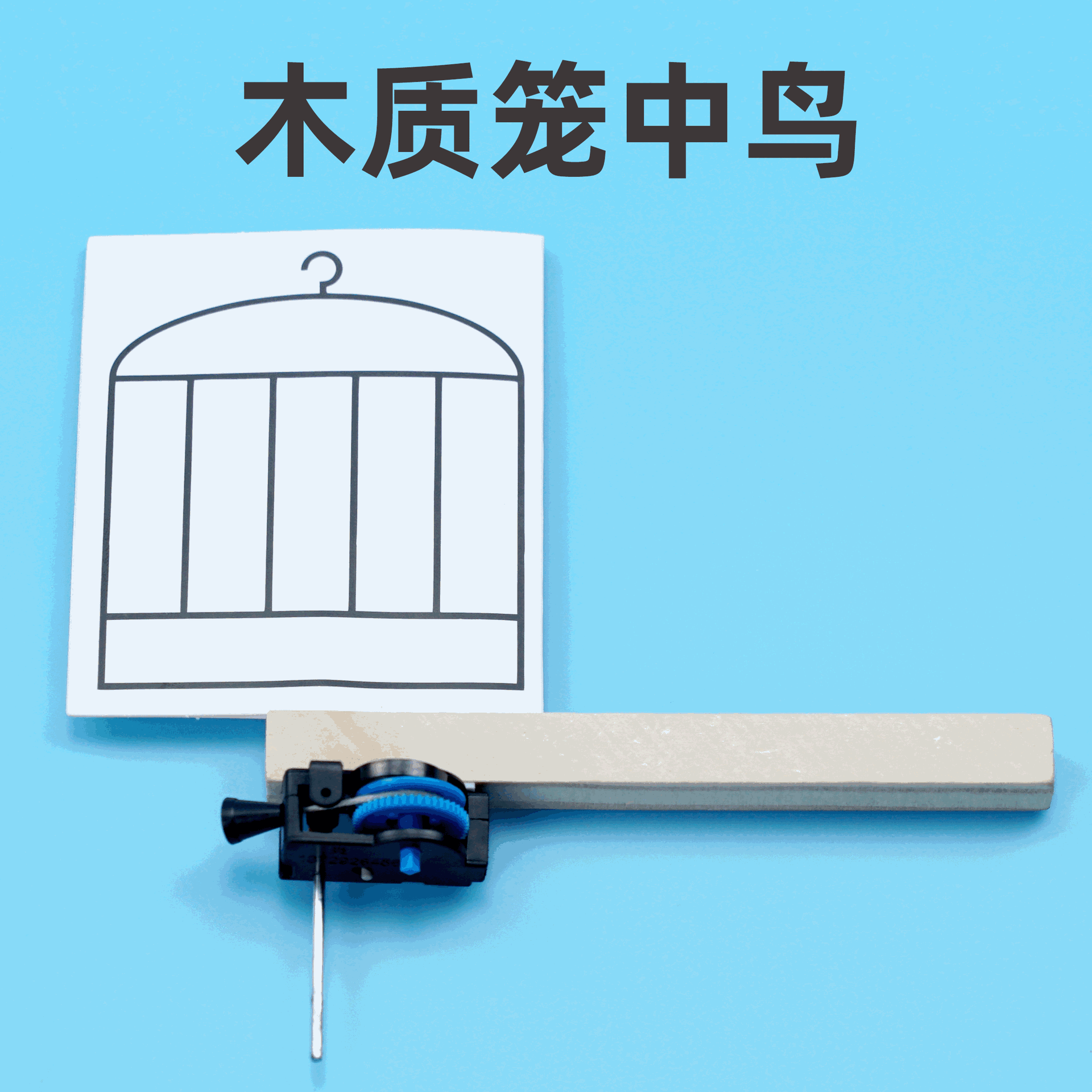 薄利多销笼中鸟科学实验幼儿手工