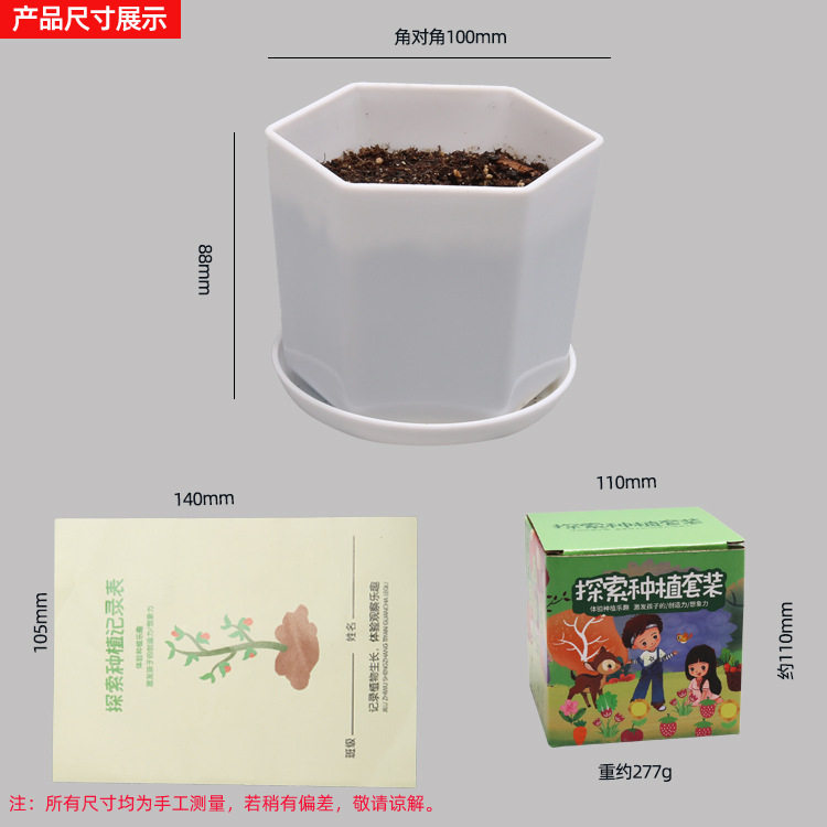 薄利多销儿童探索种植玩具套装生