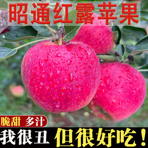云南昭通冰糖心丑苹果顺丰包邮