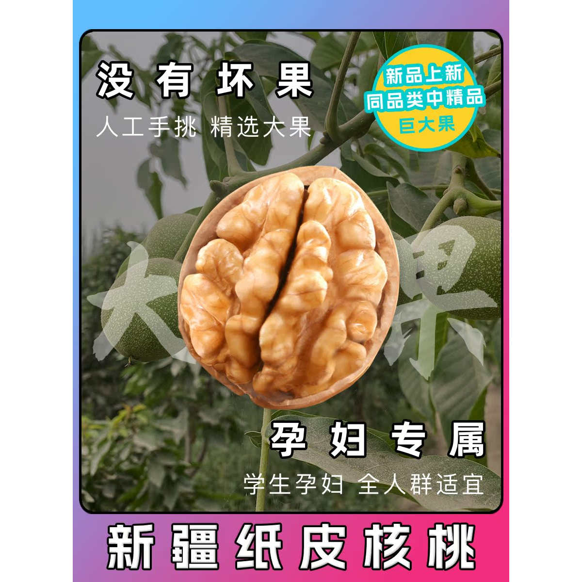 2025新果发货丨新疆特产纸皮核桃185薄皮补脑学生孕妇生核桃新鲜