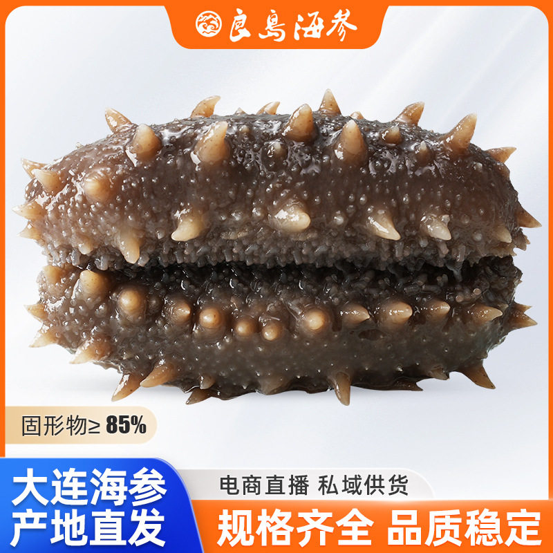 【电商拿样】正宗大连即食海参独立包装辽刺参单个装酒店专用批发