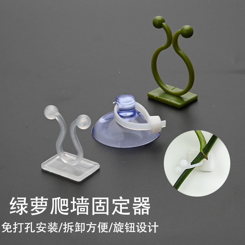 绿萝爬上神器花藤固定器爬墙上绿植攀爬夹子墙上无痕挂钩粘爬藤杆