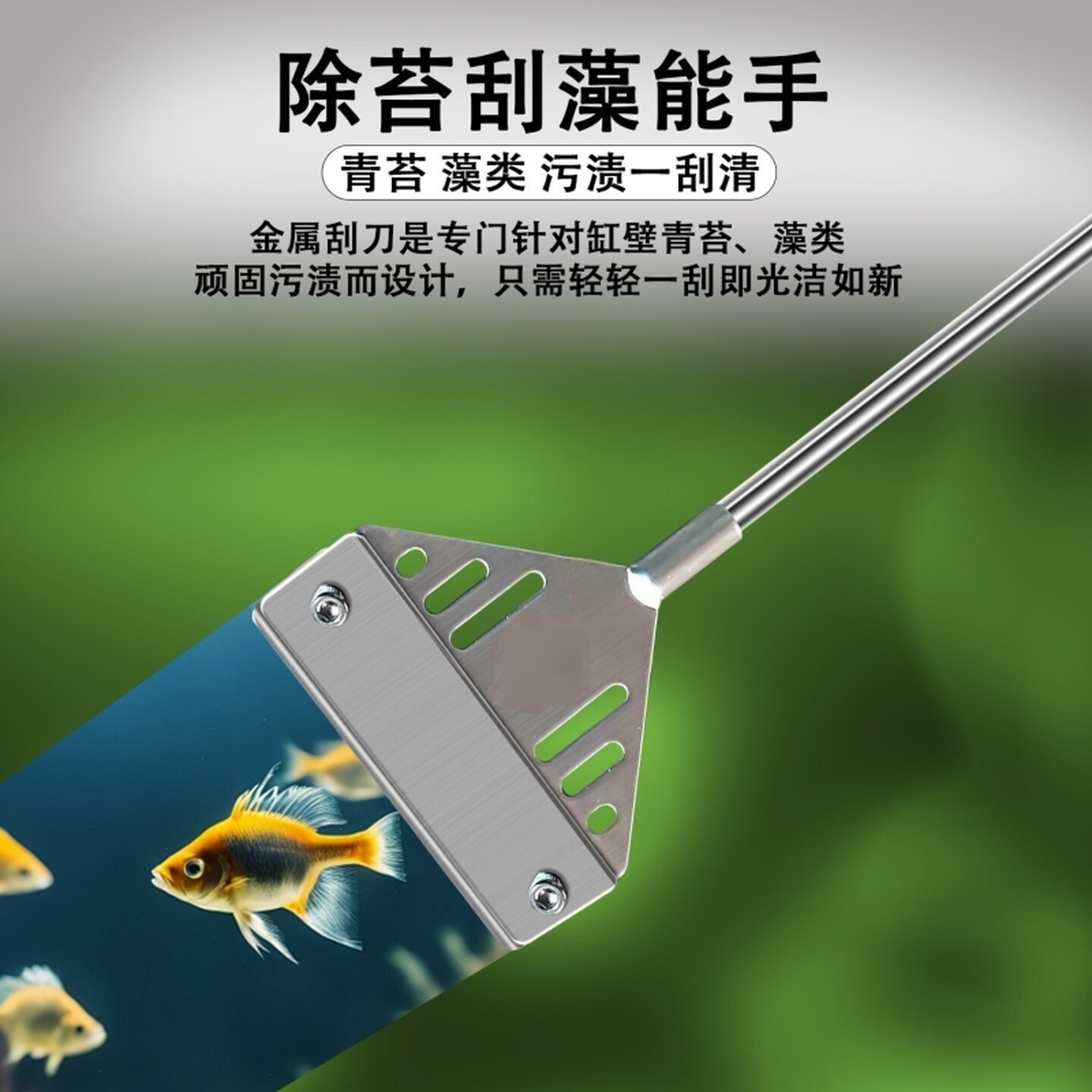 鱼缸清洗全套清洁擦去青苔长把除藻玻璃苔刮刀青苔藻水草铲刮专业