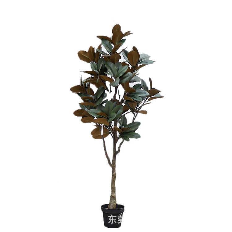 嘉旺欧式风仿真装植玉兰叶树饰仿真栽橡皮树摆件花空间造jw082景