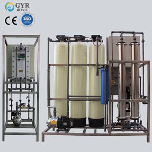 热纯销半吨th单RO反渗透全 纯化水设备加级EDI超水 自动一229体式