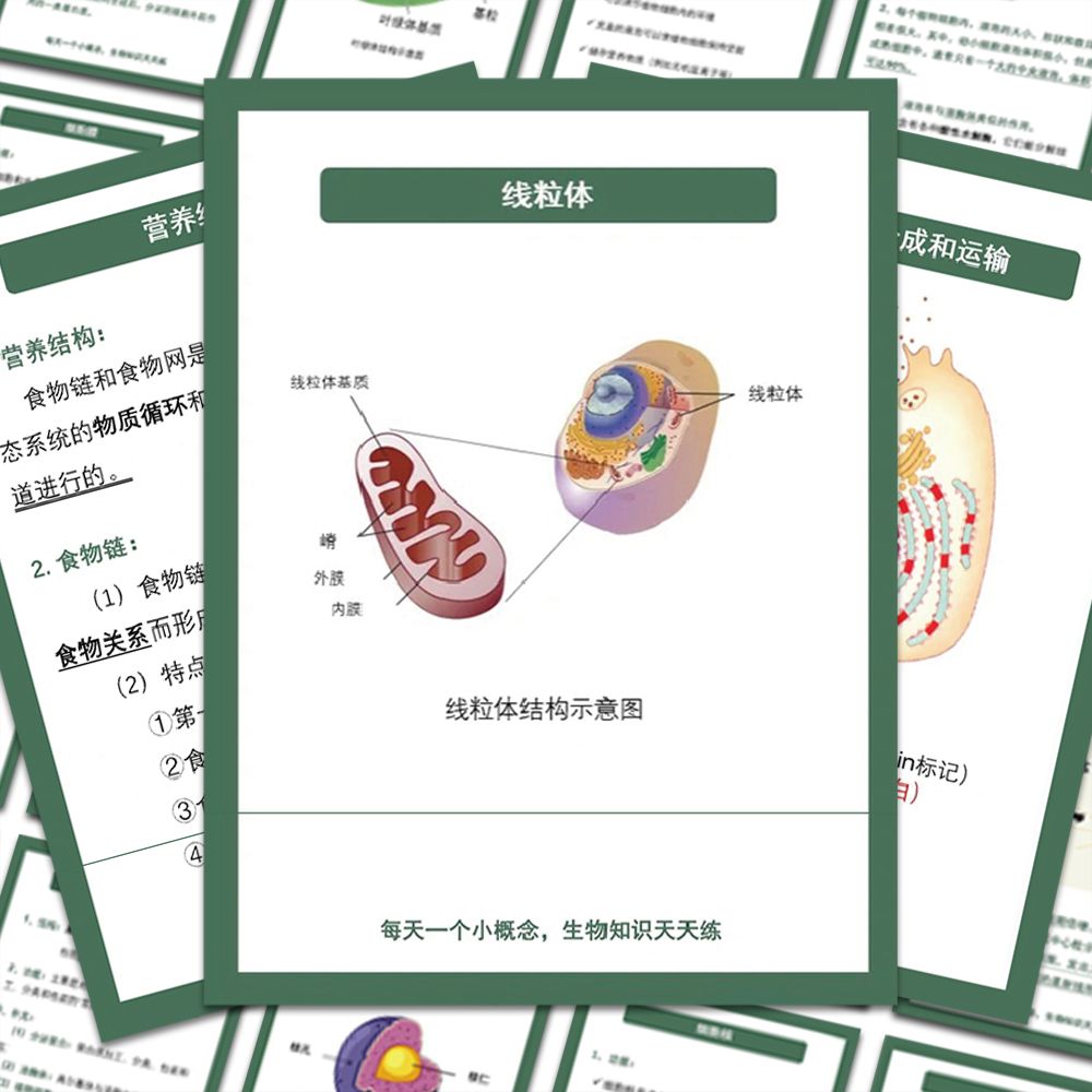 100张生物笔记贴纸学生学习备考背诵贴画装饰diy手账墙面桌面防水