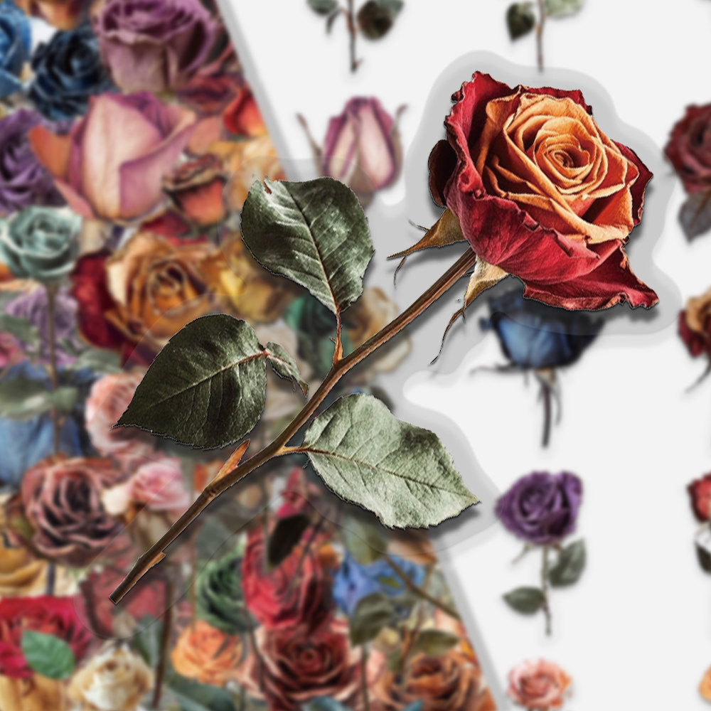 100张干枯玫瑰贴纸高雅风趣ins风装饰文具diy手账桌面