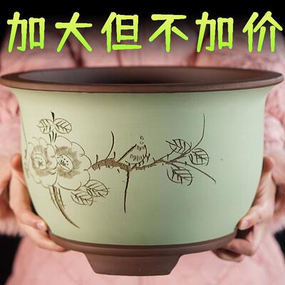 花盆大号特大号超大口径30cm以上花瓶紫砂陶瓷金钱树户外庭院清仓