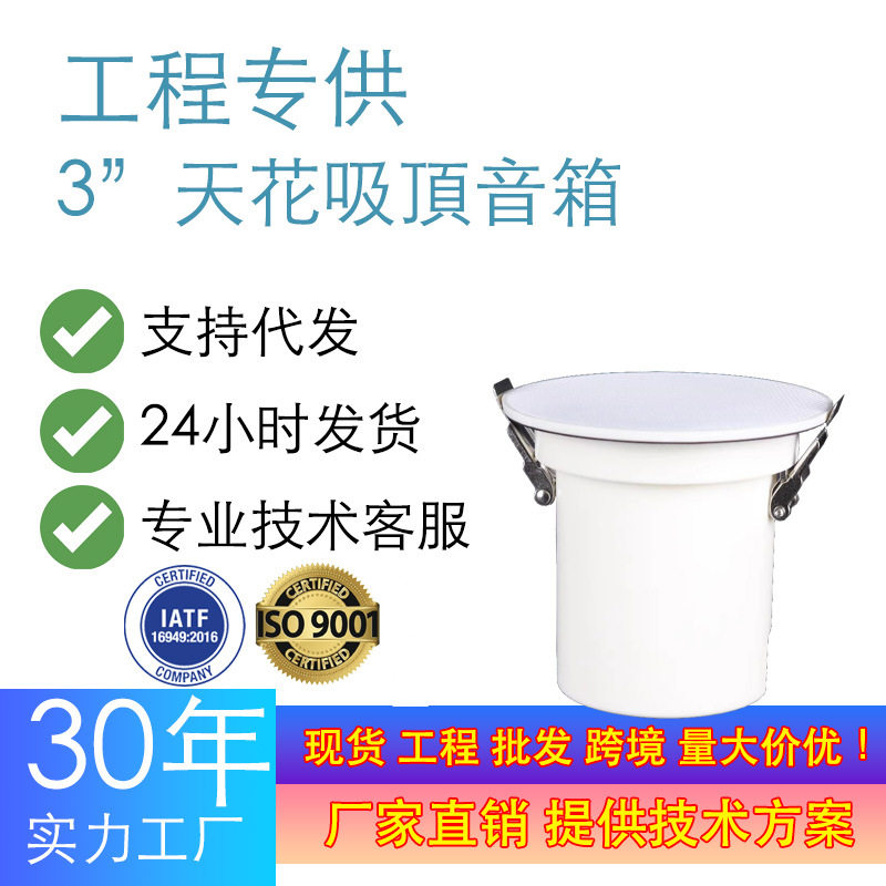 筒灯型喇叭音箱公共广播娱乐背景音乐定压定阻吸顶音响防水设计