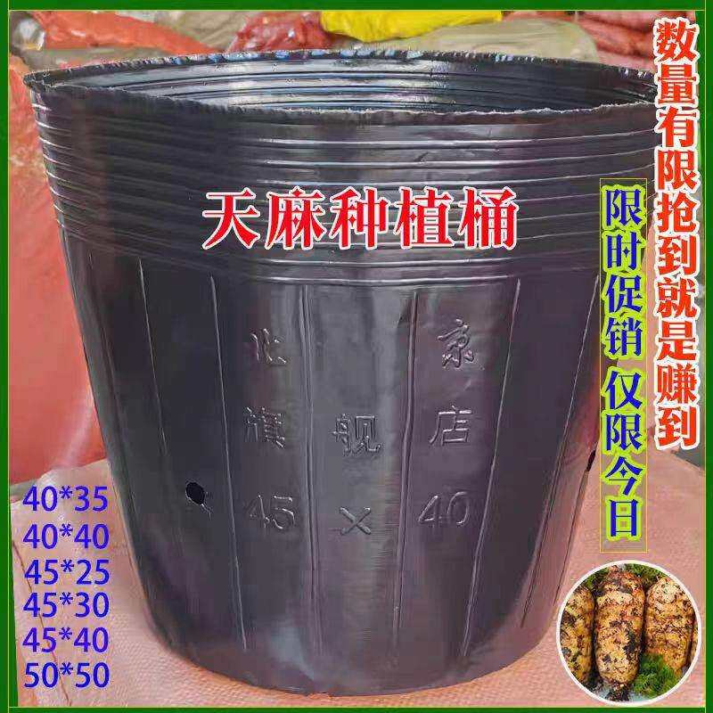 天麻营养钵营养桶魔芋桶大号黑色塑料桶育苗杯黑色加厚种植桶45*4