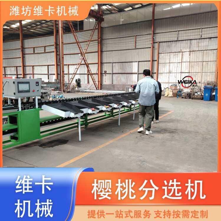 水果选果分级机脐橙冬枣百香果