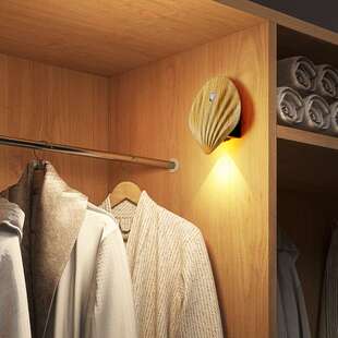 贝壳壁灯人体感应磁吸灯充电免接线创意过道门牌卧室床头小山丘灯