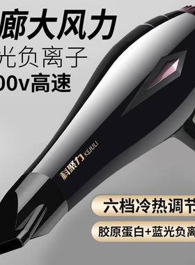 德国电吹风机负离子护发家用大功