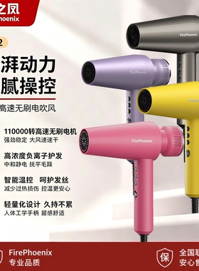火之凤吹风机M2理发店专用发型师