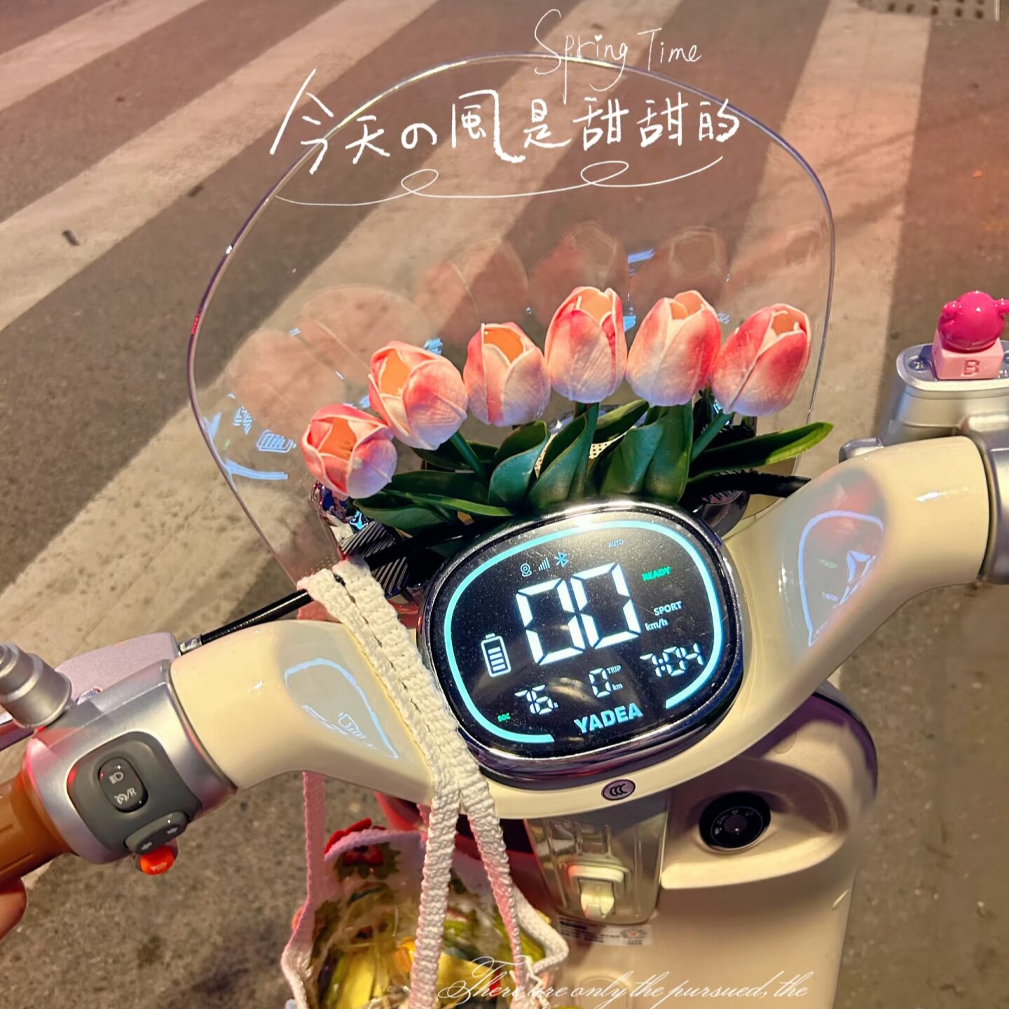 佰芒电动车装饰小配件郁金香仪表图片