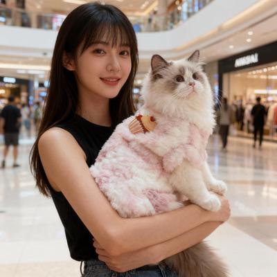 【加厚加绒】可爱卡通猫咪衣服