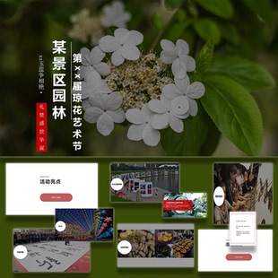 ppt模板文旅景区园林琼花艺术节活动策划方案案例设计素材