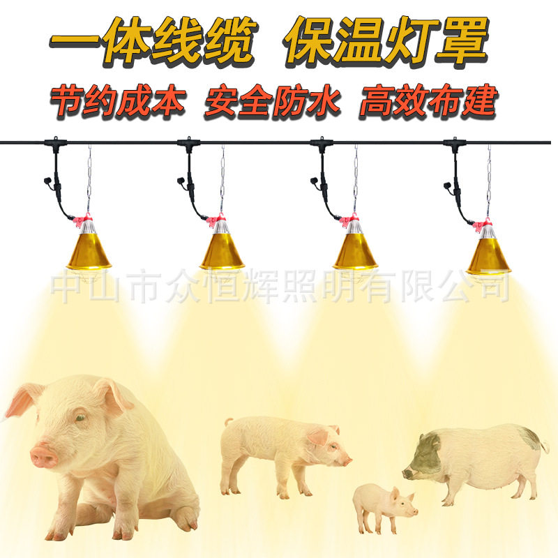 养殖保温灯罩一体线缆养猪场取暖灯主线缆快速公母接头加热灯罩
