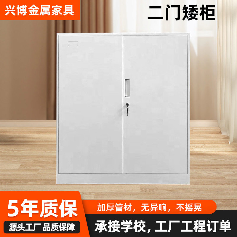 办公室钢制推拉二门更衣柜