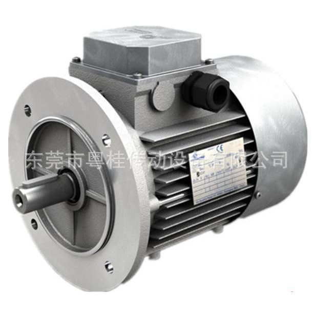 现货MOTOVARIO摩多利三相异步刹车电机T132SA2 5.5KW B3/B5/B14