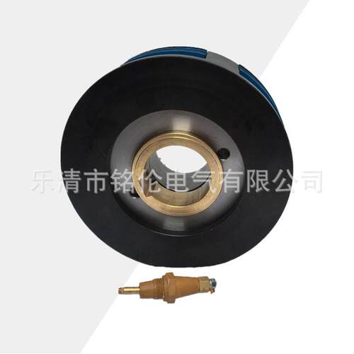 DLM10型湿式多片电磁离合器DLM10-6AG机床离合器附件直流24v