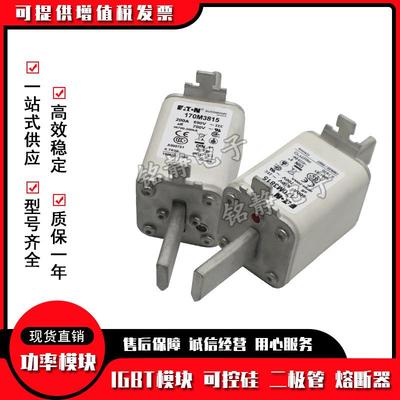 170M3815D170M3816D170M3817D170M3818D巴斯曼熔断器170M3819D