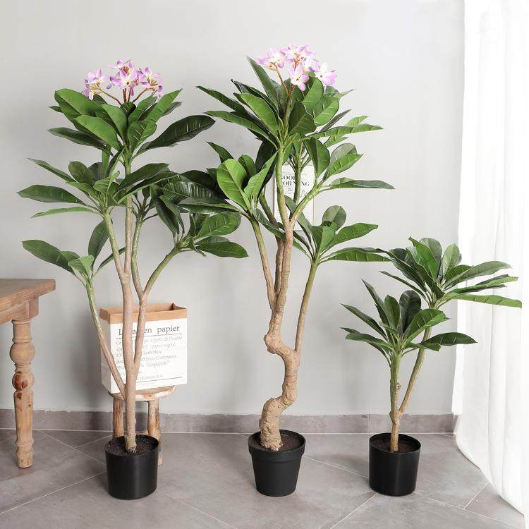 北欧大型家居装饰仿真树盆栽摆设商场橱窗仿真花假花带叶鸡蛋花