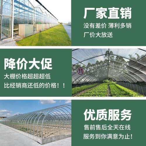 大棚钢管骨架拱棚蔬菜种植养殖椭圆养猪养鸡棚加厚连栋大棚全套
