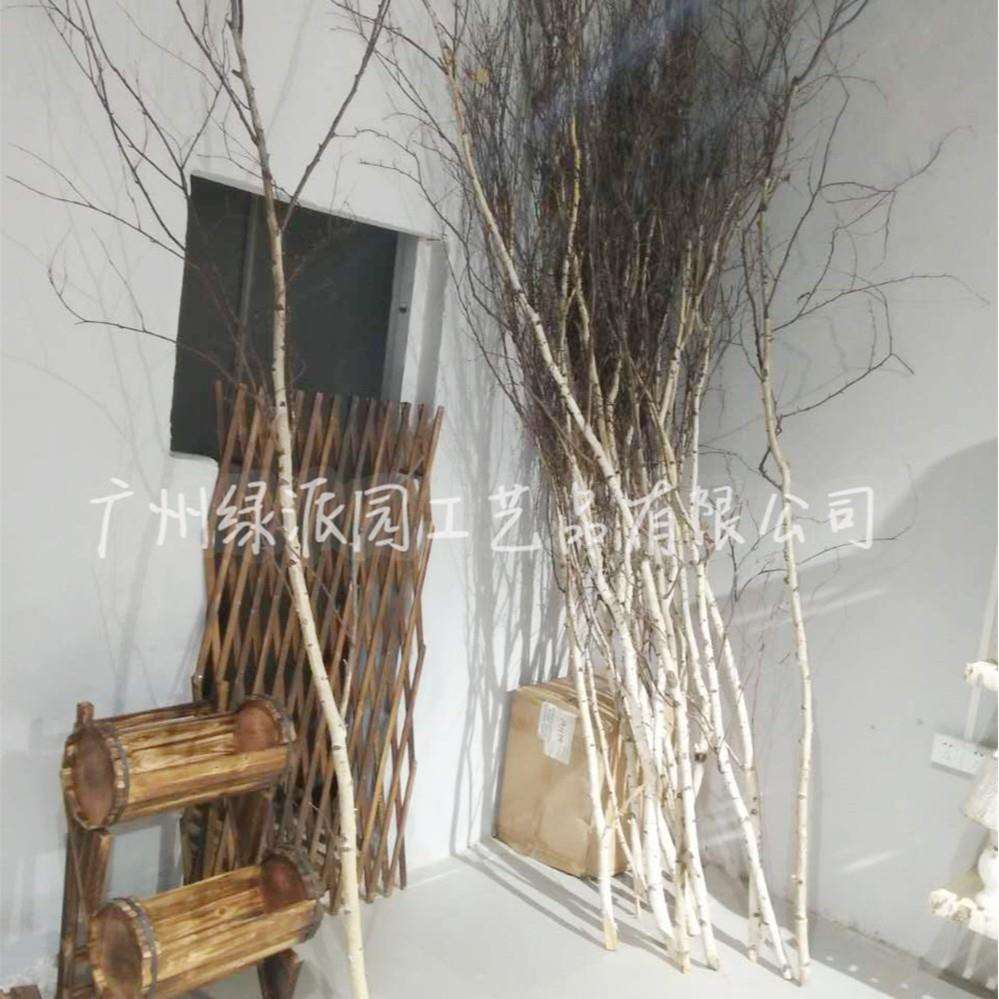 白桦树枝仿真树杈干枝枯树枝造景森林隔断玄关路引花艺插花干树枝