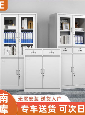 济南铁皮文件柜办公室资料储物柜档案更衣矮柜抽屉置物柜收纳柜子