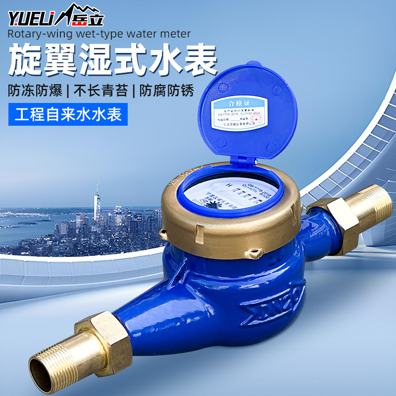 自来水水表旋翼式湿式冷水表4分6分家用立式水表公寓出租机械防倒