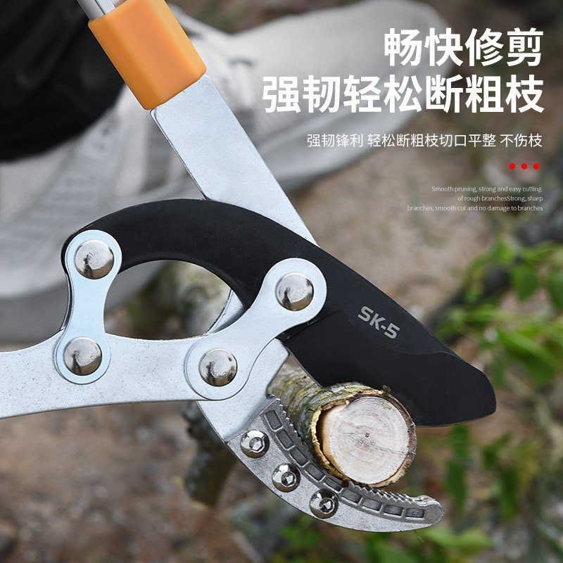 修剪树枝剪刀果树剪枝大力剪高枝剪园林粗枝剪强力剪花枝园艺工具