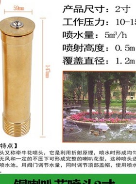 喇叭花喷头全铜1寸6分4分 喷泉园林园艺水景景观可调屋顶降温实用