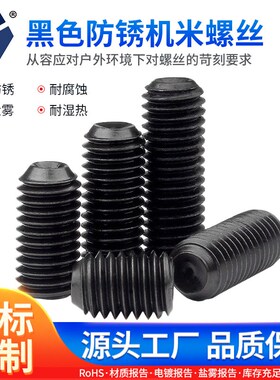 M3x33x12黑色防锈机米螺丝 304不锈钢高盐雾达克罗螺丝 DIN916